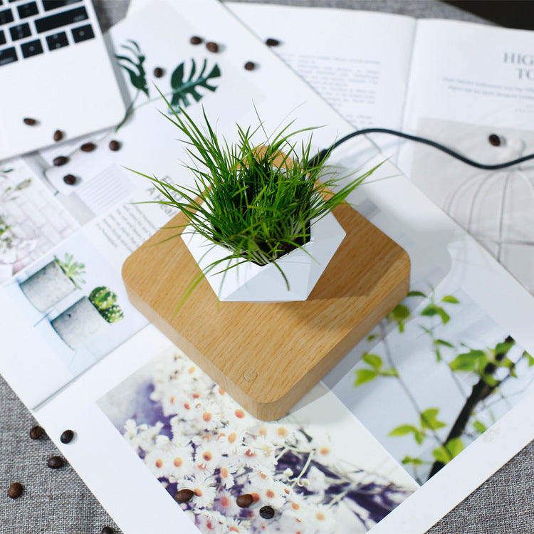 Modern Magnetic Wood Grain Potted Plant Vase - Feng Shui Home