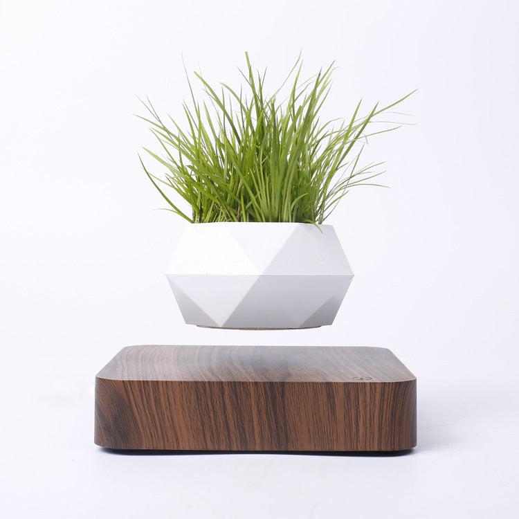 Modern Magnetic Wood Grain Potted Plant Vase - Feng Shui Home