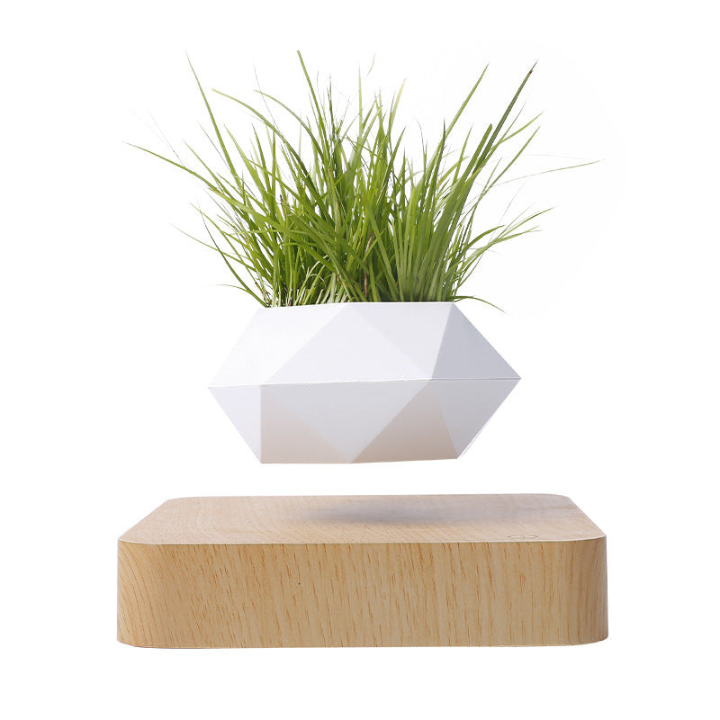Modern Magnetic Wood Grain Potted Plant Vase - Feng Shui Home