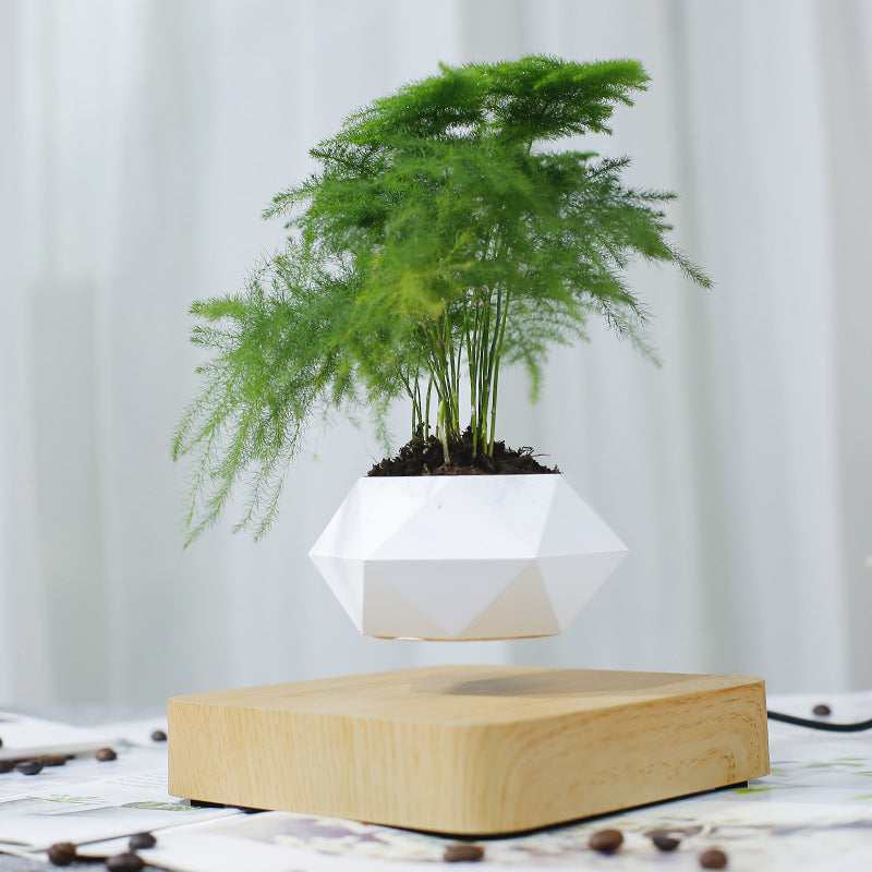 Modern Magnetic Wood Grain Potted Plant Vase - Feng Shui Home