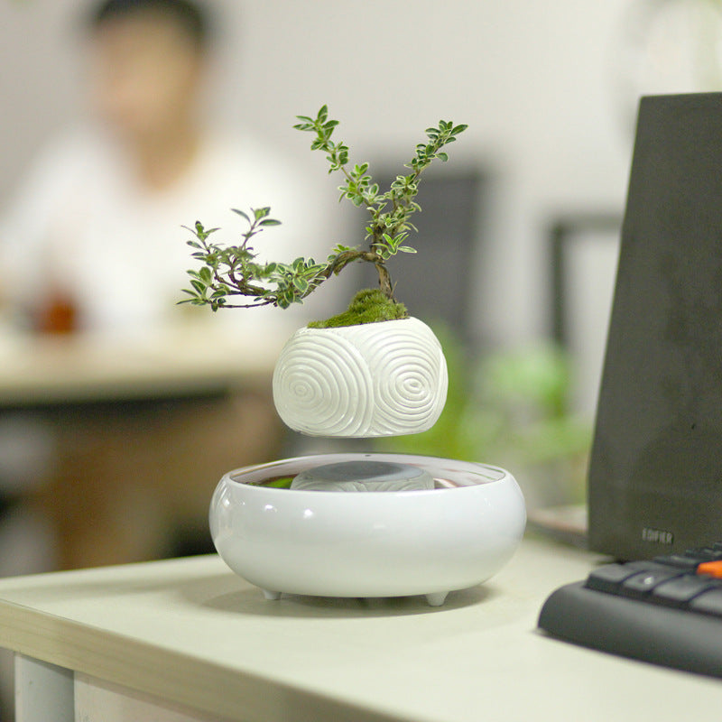 Luxury Magnetic Levitation Pot Plant Vase Creative Gift Home Decoration - Feng Shui