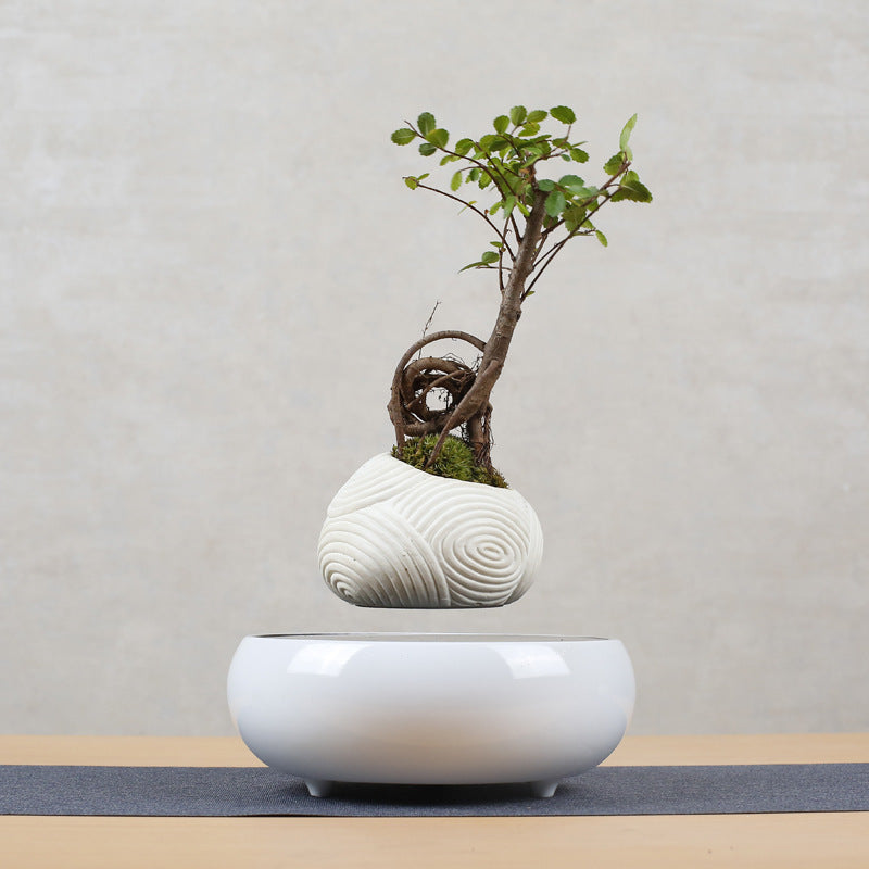 Luxury Magnetic Levitation Pot Plant Vase Creative Gift Home Decoration - Feng Shui