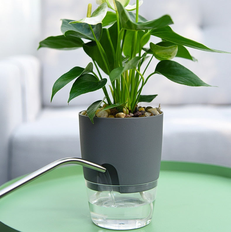 Effortless Gardening Made Simple: Discover Our Double Layer Self Watering Flowerpot!