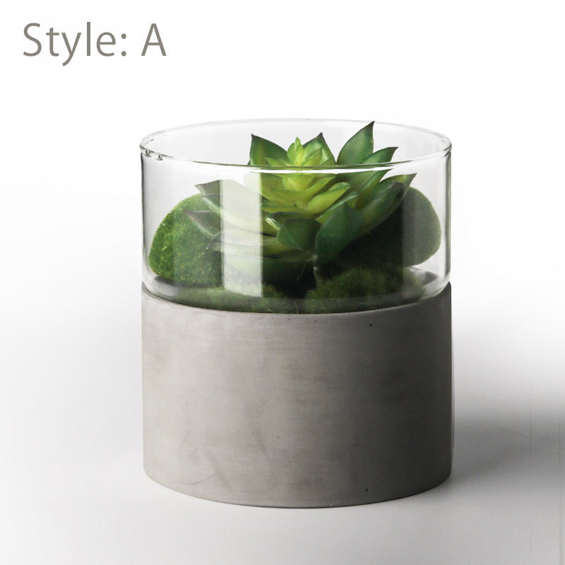 Modern Elegance Straight Vase Whit Cement Base - Succulents Plants Flowers - Feng Shui