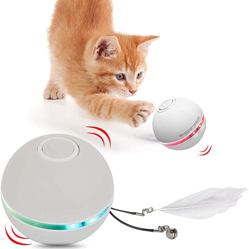 LED Colourful Cat Ball Toy - Play Time