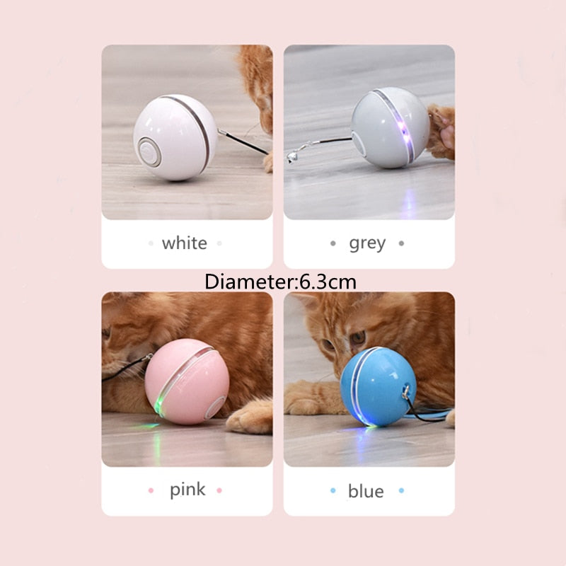 LED Colourful Cat Ball Toy - Play Time