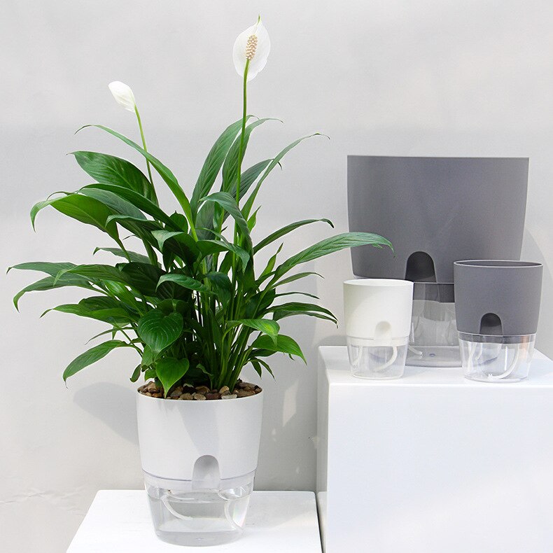 Effortless Gardening Made Simple: Discover Our Double Layer Self Watering Flowerpot!