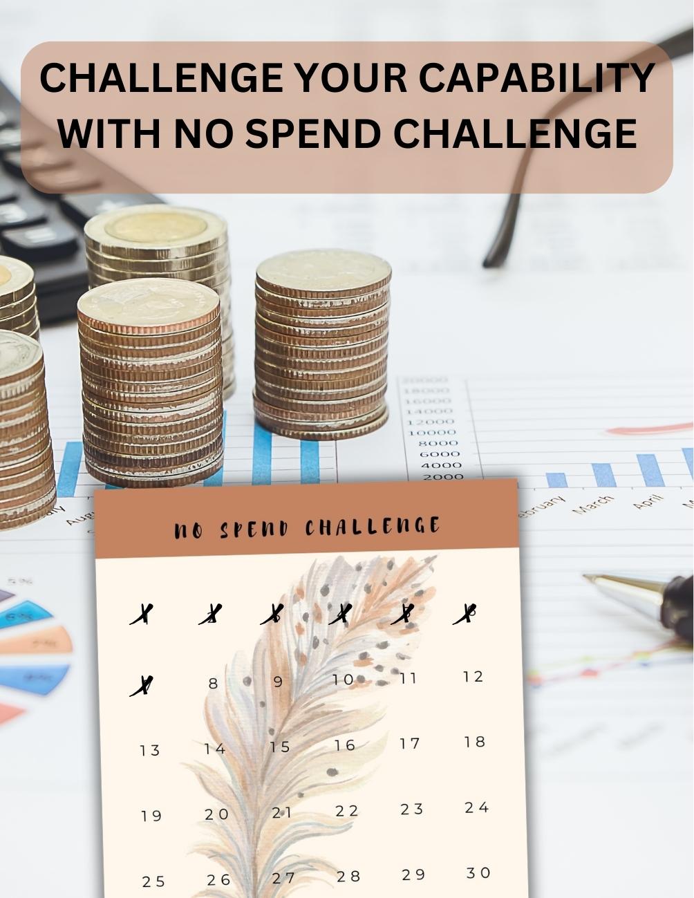 Aesthetic Savings Tracker, Money Tracker, Budget Planner, Pounds Savings Challenges, Debt Tracker, Budget Tracker, Money Challenge,