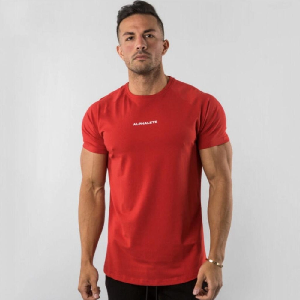 Men Fitted Gym T-Shirt